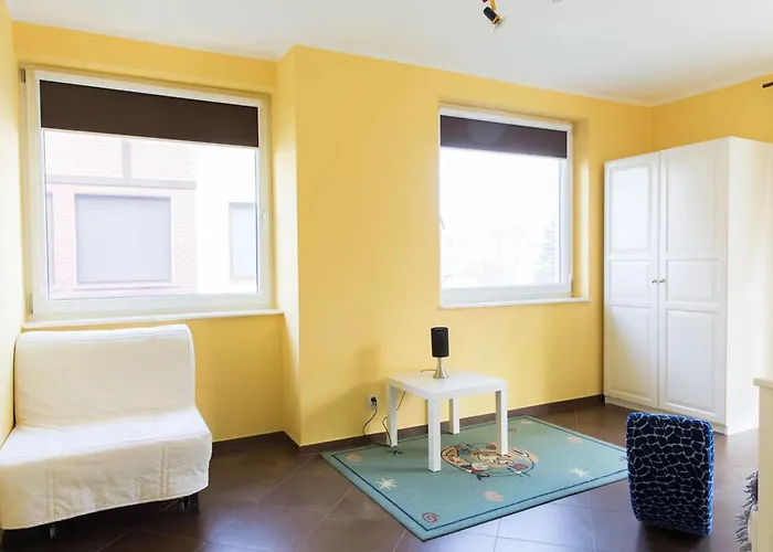 Amber- Leba Zarnowska