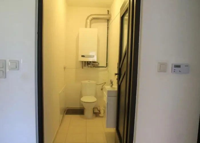 Amber- Leba Zarnowska